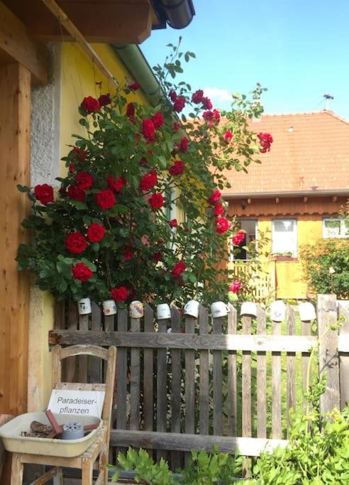 Holiday home Mit Garten In Thermennaehe *